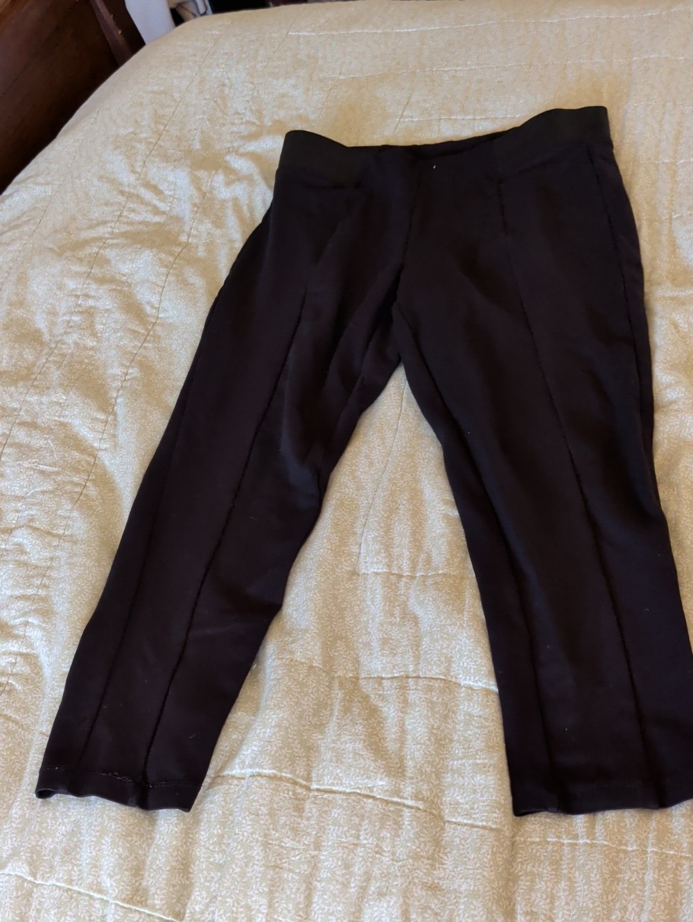 Terra & Sky Black Men's Dress Trousers